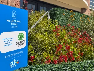 Garden display at the Melbourne Royal Show with kangaroo paws, Lomandra and fountain grass supplied by Southern Plants