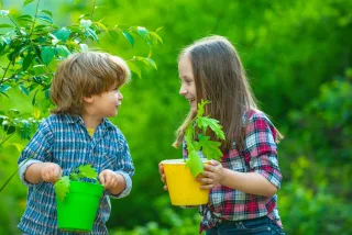 Home gardener
