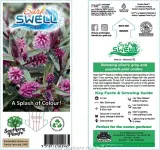 Hebe Surf™ Swell - Primary
