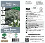 Lavender Sensation™ White - Primary