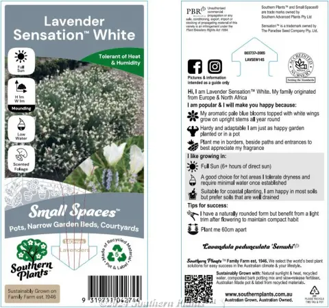 Lavender Sensation™ White