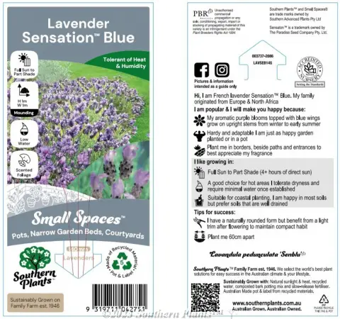 Lavender Sensationš Blue