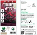 Nandina Colourscape - Primary