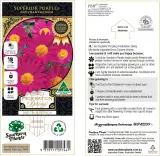 Sublime Pink Federation Daisy - Primary