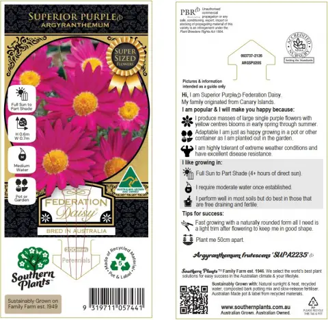 Sublime Pink Federation Daisy
