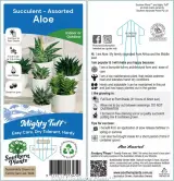 Aloe - Plant label