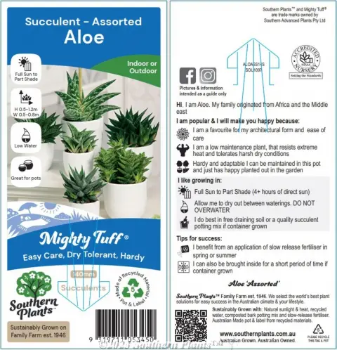 Aloe
