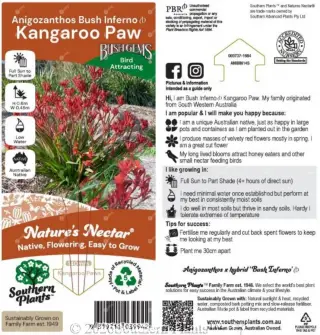 Anigozanthos 'Bush Inferno' — Label front