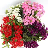 Verbena Assorted Colourwave (Tapien® and Kazari®) - Detail photo