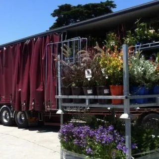 Trade nursery