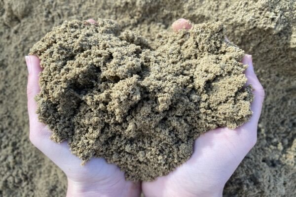 A handful of sandy soil