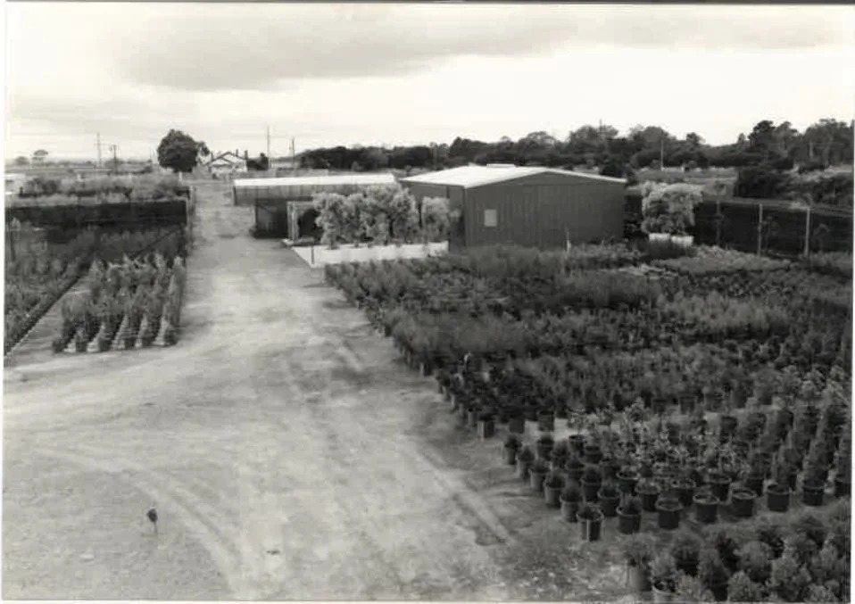 Growing grounds in 1982