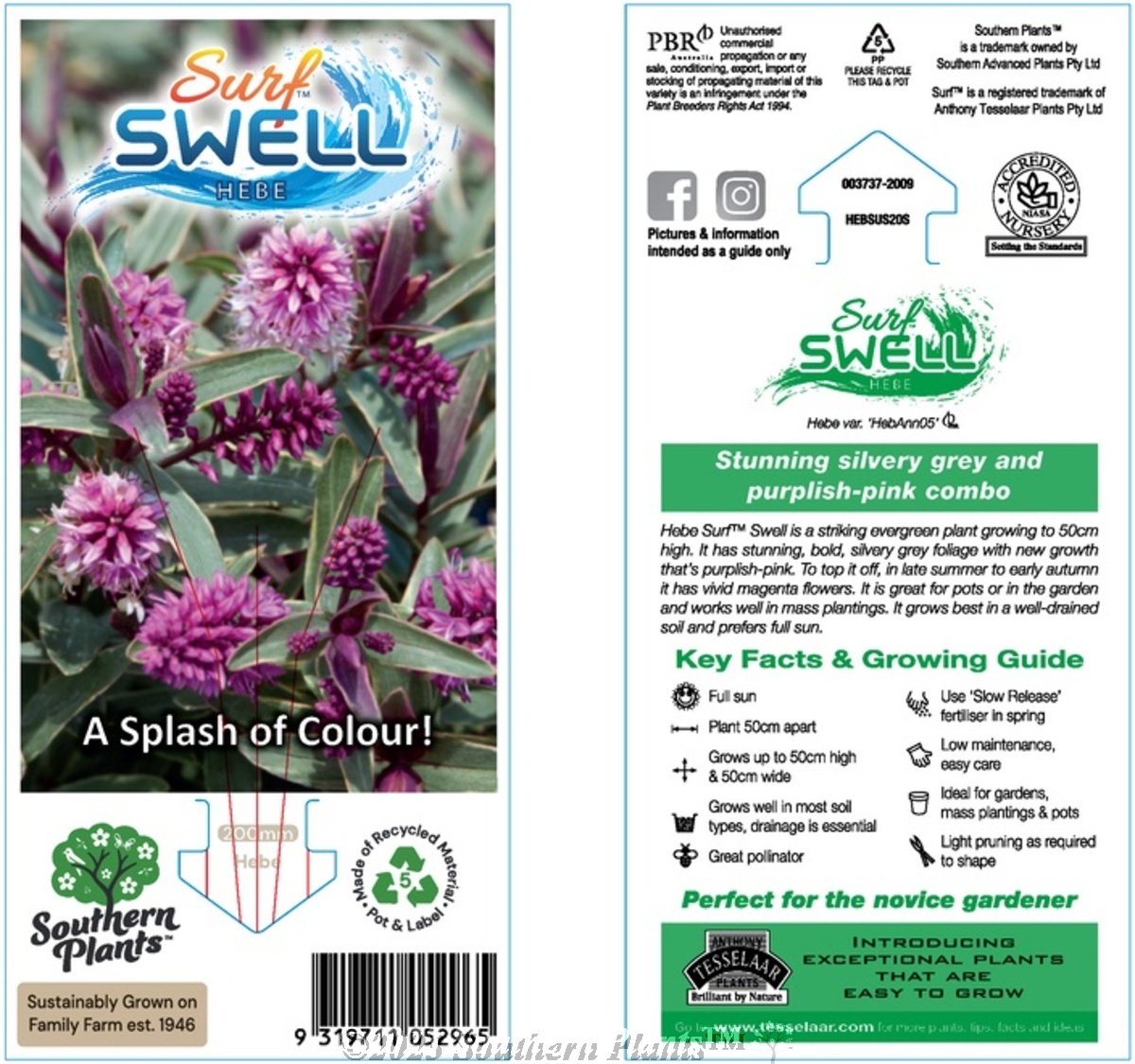 Hebe Surf™ Swell