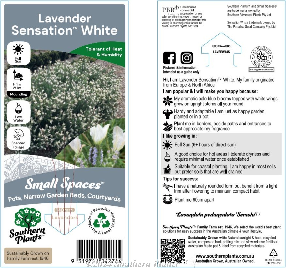 Lavender Sensation™ White