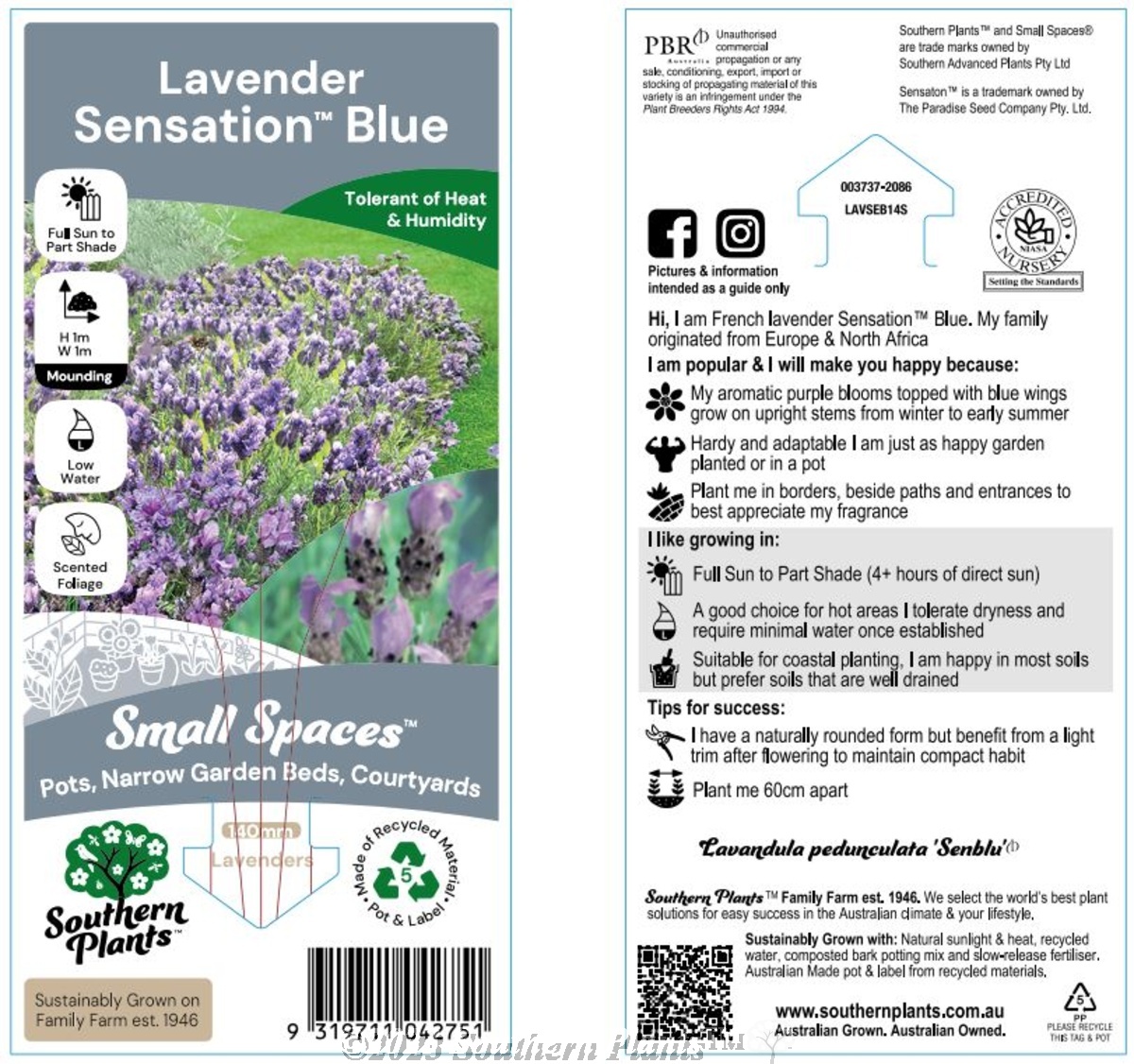 Lavender Sensationš Blue