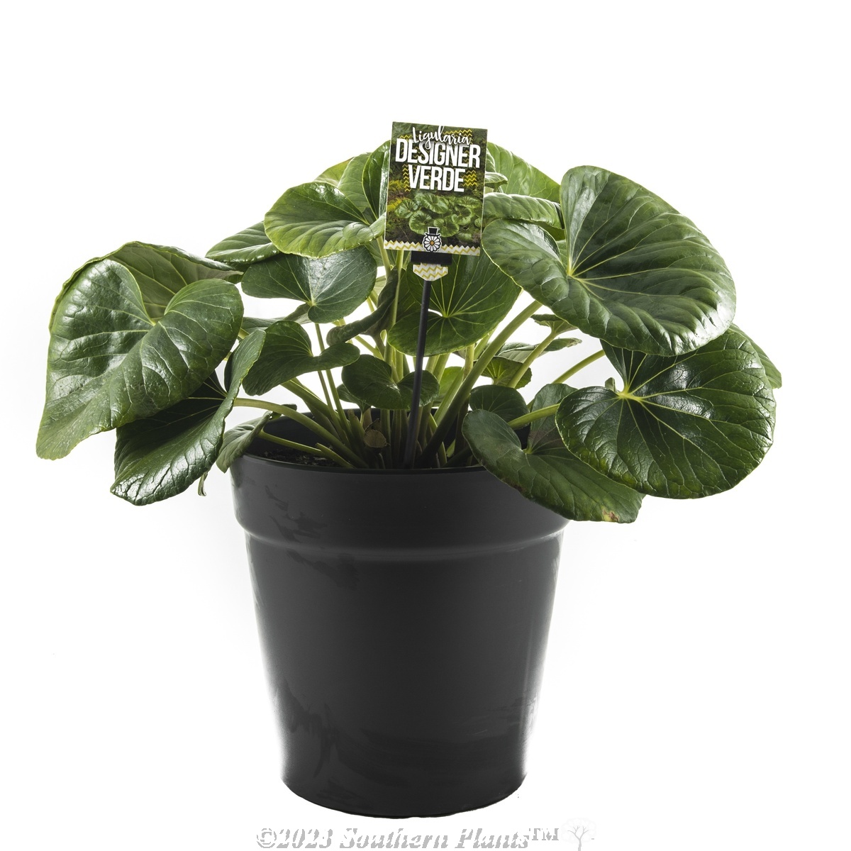 Tractor Seat Plant