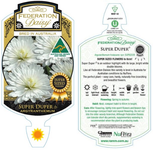Super Duper Federation Daisy