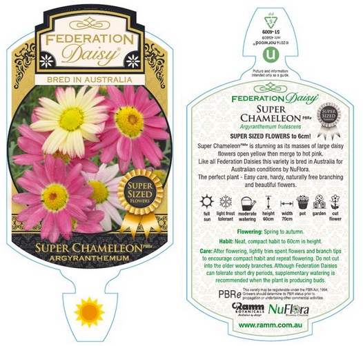 Super Chameleon Federation Daisy